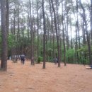 6월 17일(토) 인천 계양산 숲길 이미지