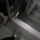 빠빠독 | 2025 여름 휴가 in 부산