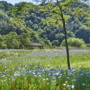 호동골공원 이미지