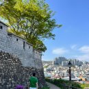 빛과 그림자 | 성인 ADHD의 빛과 그림자 (증상 및 진단 후기)