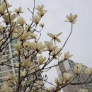 퇴미2공원1 이미지