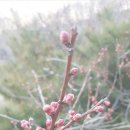 세동산골농원 이미지