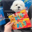 리드원구내식당 | 부산 반려동물 박람회 2026 펫앤모어 토리랑 애견동반 펫페어 다녀온 내돈내산 후기