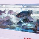 신평2동-7 이미지