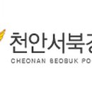 전모 이미지