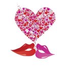 미색단장 이미지