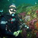 민트스쿠버 이미지