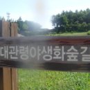 야생화숲