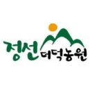 정선더덕농원