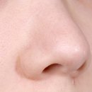 화수육계 이미지