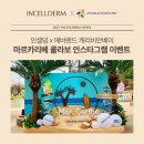 인셀덤리베