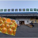 내서농산물도매시장 이미지