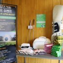 올파스크린골프장 이미지