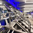 서초중앙로22길 17 이미지