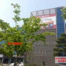 비즈원빌딩 이미지