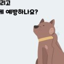 도담동물의료센터동물병원 이미지