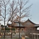 바로탄탄신경외과의원 이미지