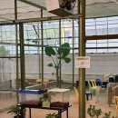 신상농장 이미지