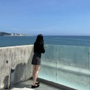 ㈜제인디엠씨부산 | 베어파우 24F/W 신상 메리제인 오데뜨 발편한신발 추천!