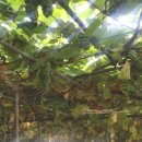 만해가든 이미지