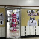 펫피아24 - 남구 못골로12번길 74 | 펫피아24