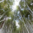 용담 세탁 이미지