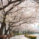 평거강변3 이미지