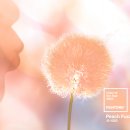 요요히네일 이미지