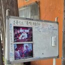 김포 왕돈가스 맛집 정통국수집: 국수집에서 파는 추억의 왕돈가스 콩국수 잔치국수까지 후기