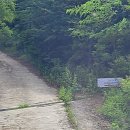 백담 새소리 펜션 | [강원 인제] 백담사와 가까운 독채 복층 계곡 숙소 애견동반 백담새소리펜션 가족여행