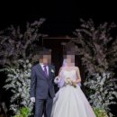 유니트엠 | 디유드라포엠 본식 드레스 후기
