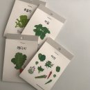 달리풀 이미지