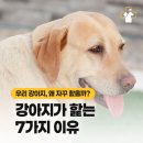 파발로151번길 이미지