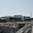 (주)제주왕 이미지