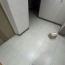 대만 타이베이 워홀.... 시작합니다 / 집 구했습니다