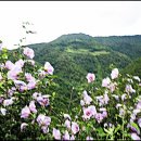 맑은나라 이미지