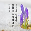 행복영상