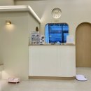 센트럴 펫살롱 이미지