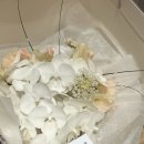 화니 | 화니플로르｜ 부케 배송 후기