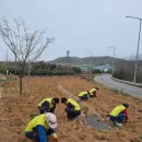 영종동 행정복지센터 이미지