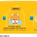 정원동물병원 이미지