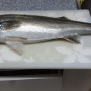 모래알펜션 이미지