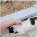 영덕 천연 탄산수 캠핑장 이미지