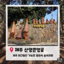 궁전애견 | [제주애견동반여행]제주 서쪽 애견동반 가능한 동화...입장료,예약,주차정보, 방문팁등 내돈내산 솔직후기