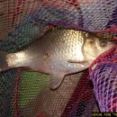 고막낚시터 이미지