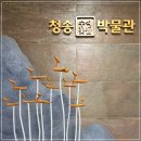 청송수석꽃돌박물관 | 청송 겨울여행 ④ 청송 갈만한 곳: 청송군 수석꽃돌박물관 추천!