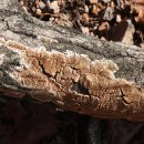 사기막골(2) 이미지