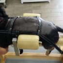 손수의과병원 이미지