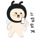 오늘미트
