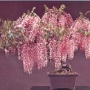 오월(5월) 1 이미지